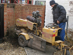 stump removal