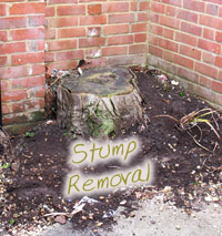stump removal